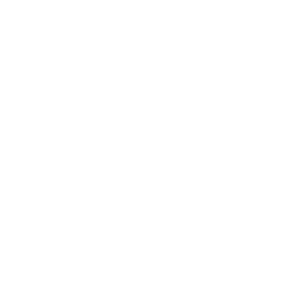 ヒーラー